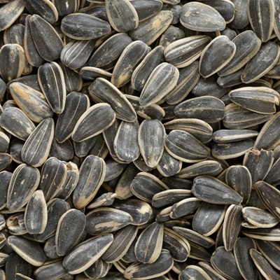 Salted In-Shell Sunflower Seeds
